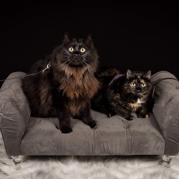 Meet your Posher, Caterina - Picture 8 of 8